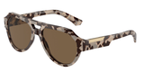 Havana Beige (343473) / 56