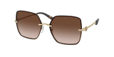 Shiny Light Gold (334913) / 58