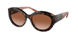 Dark Tortoise (300613) / 54