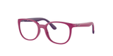Ray-Ban Junior Optical Ry1631 – Violet (3933) / 47 Eyeglasses Frame