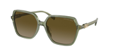 Green Transparent (394413) / 58