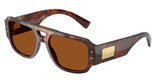 Dark Red Havana (322273) / 57