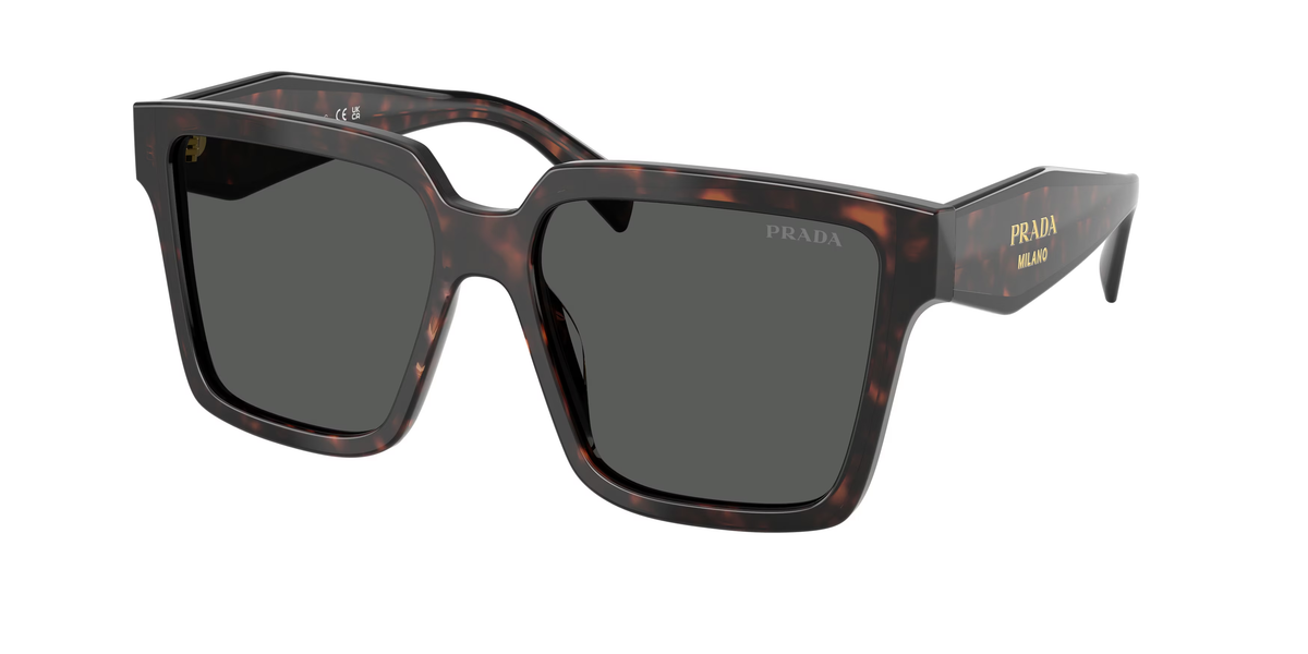 Root Tortoise (17N40L) / 57