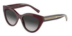 Burgundy (83893C)