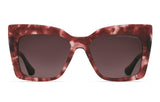 Rose Tortoise (61847) / 57 | 0