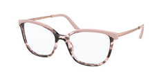 Orchid Tortoise/Petal (07N1O1)