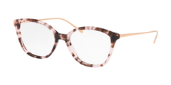 Pink Havana (ROJ1O1)