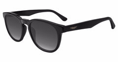Shiny Black (SPLP22 530700)