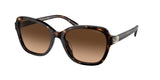 Coach Cd481 – Havana (512074) / 56 Sunglasses Frame