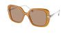200563 (Brown)