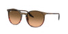 Ray-Ban Rb2204 – Brown (13953B) / 51 Sunglasses Frame