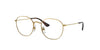 Ray-Ban Junior Optical Junior Rob – Gold (4051) / 46 Eyeglasses Frame