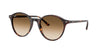 Ray-Ban Bernard – Havana (902/51) / 51 Sunglasses Frame