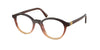 24C1O1 (Brown)