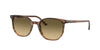 Ray-Ban Elliot – Brown (13920A) / 52 Sunglasses Frame