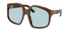 24D20R (Brown)