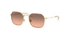 223/46 (Gold)