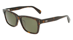 Brown (240)