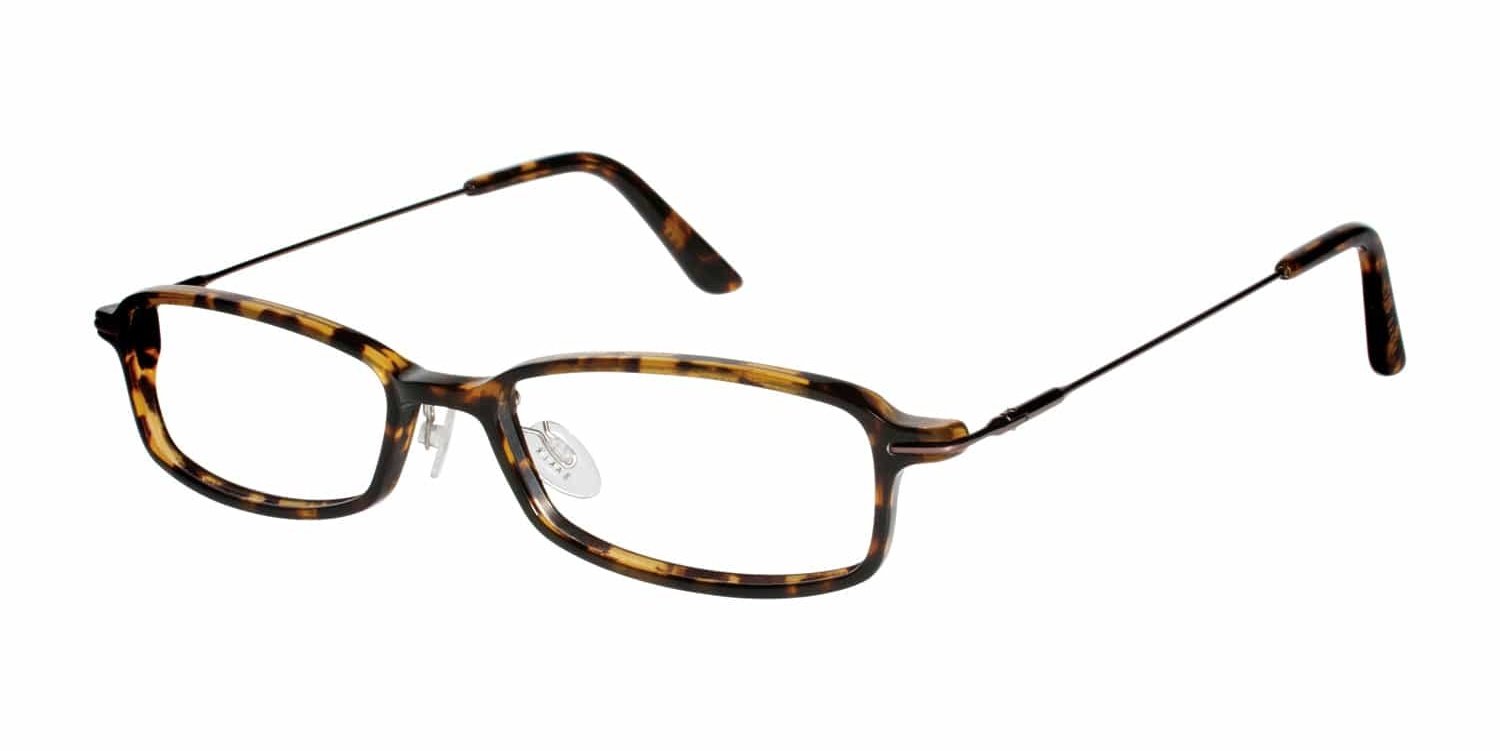 Ted Baker Razzo B852 Tortoise Ted (764724275921) | Spectacle Clinic