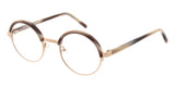 Andy Wolf 4577 Rosegold (Col. F) | Spectacle Clinic