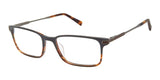 Ted Baker TFM009 Grey Brown Horn (764724841577) | Spectacle Clinic