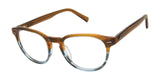 Ted Baker TMBIO001 Amber (764724852252) | Spectacle Clinic