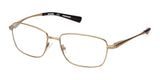 Harley-Davidson HD9023 Pale Gold (HD9023) | Spectacle Clinic