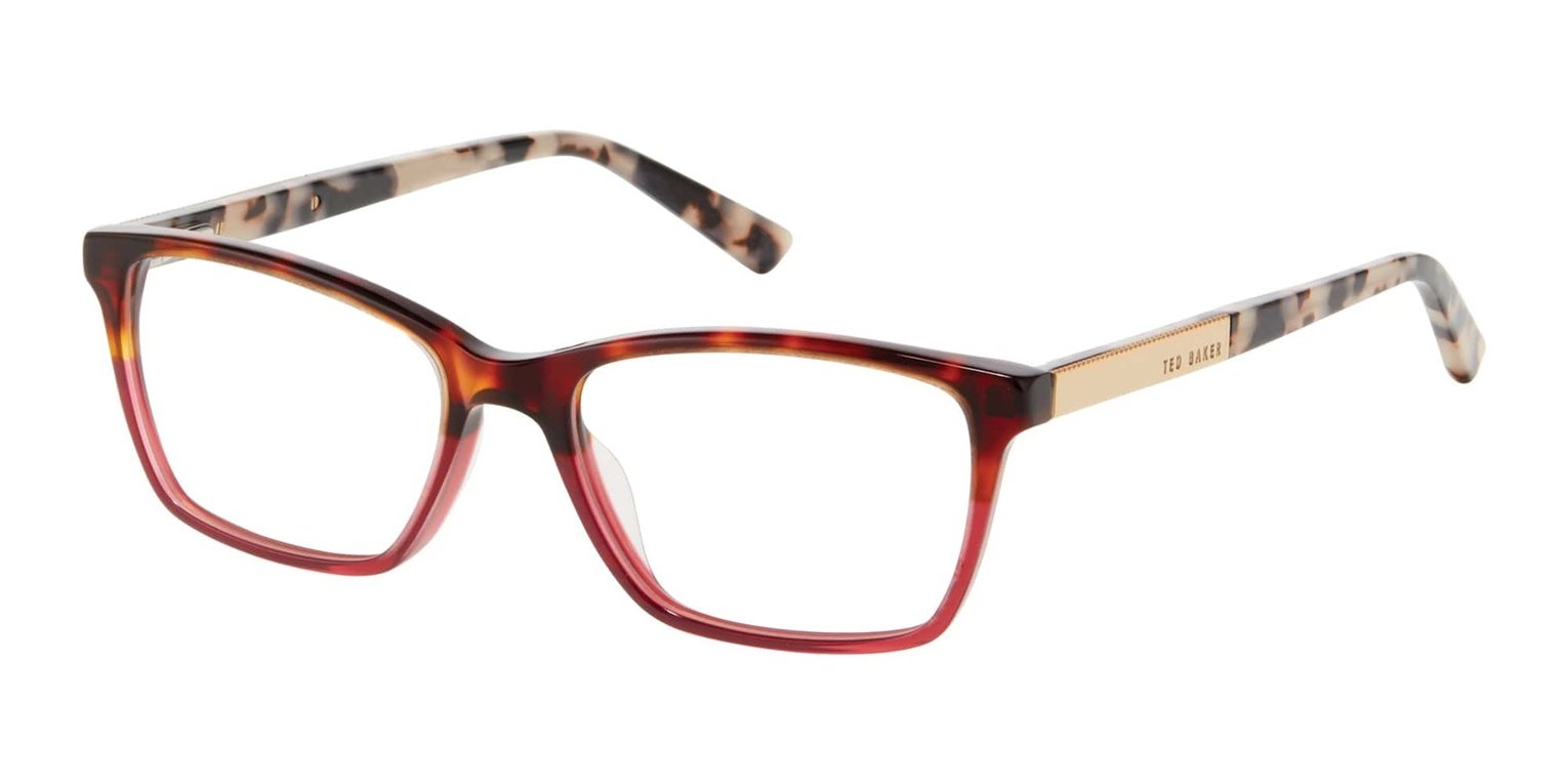 Ted Baker TPW006 Tortoise Burgundy (764724835613) | Spectacle Clinic
