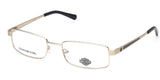 Harley-Davidson HD0883 Pale Gold (HD0883) | Spectacle Clinic