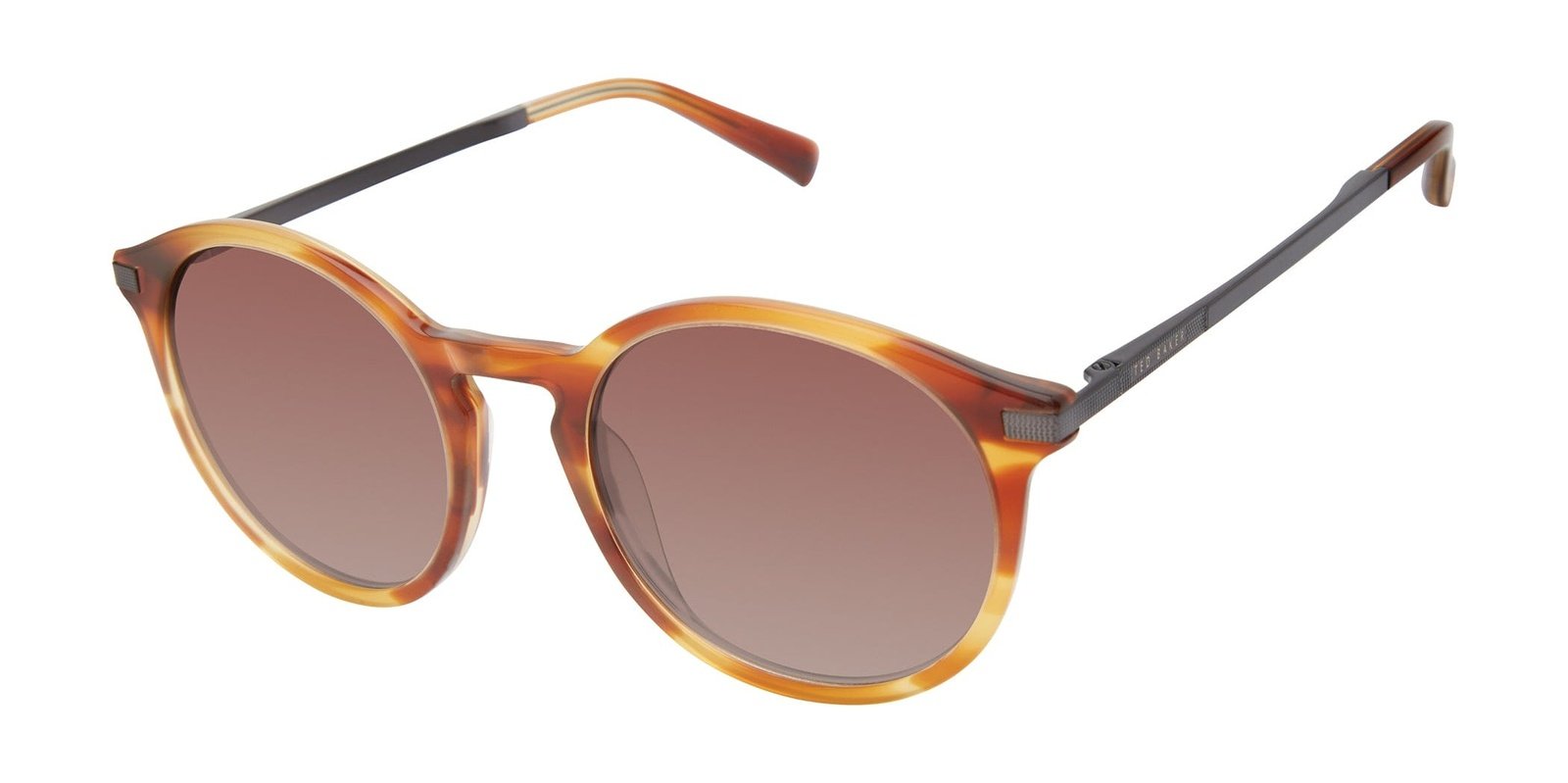  Ted Baker TMS094 Horn Amber (764724848163) | Spectacle Clinic